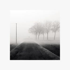Emilia strade campagna nebbia fotografia