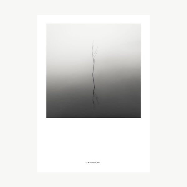 fotografia in bianco e nero un ramo che esce dal'acqua e riflette la sua ombra