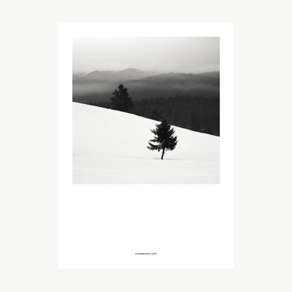 fotografia in bianco e nero di un altopiano innevato con pini