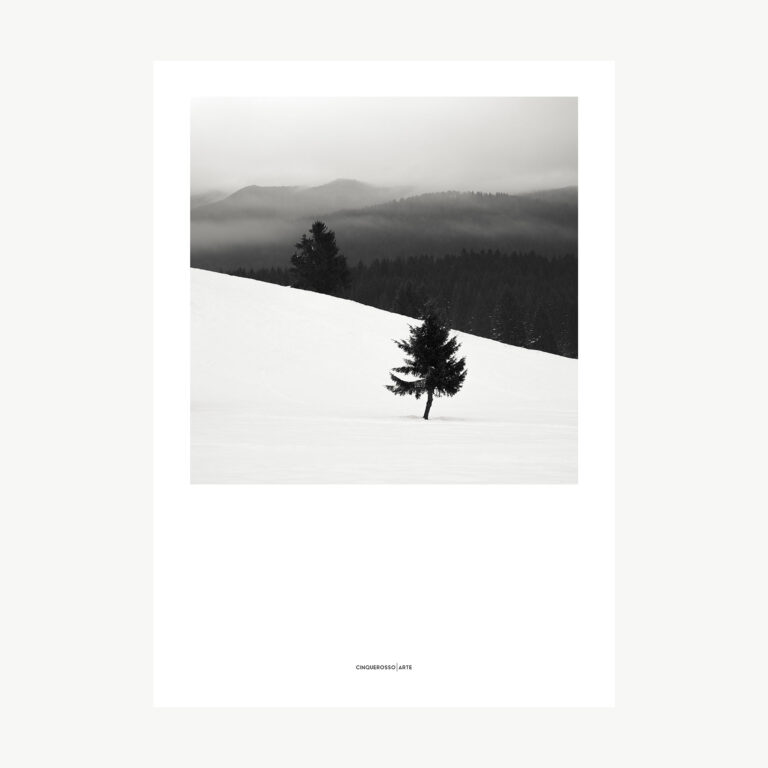 black-and-white photograph of a snowy plateau with pine trees