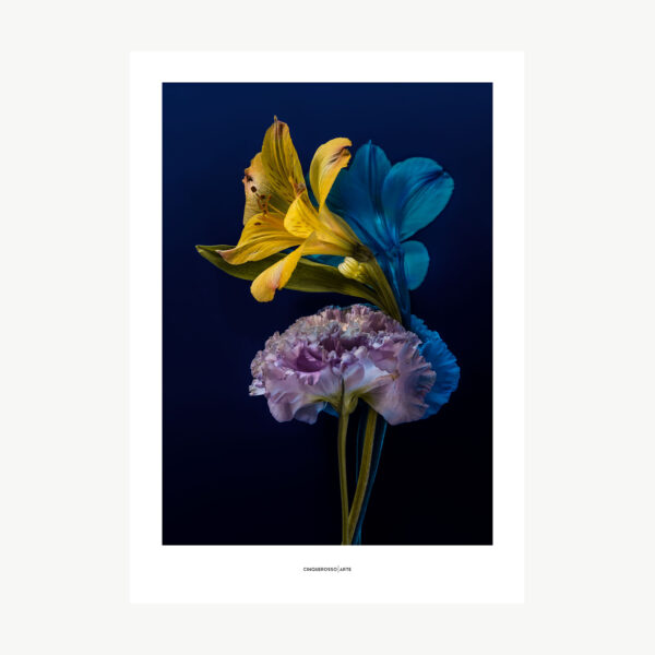 opera fotografica fiori viola e gialli su plexiglass blu