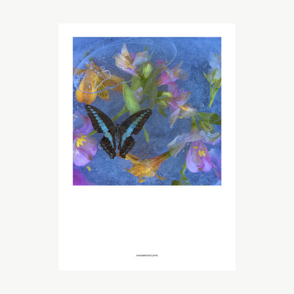 opera fotografica fiori e farfalle su sfondo blu e acqua