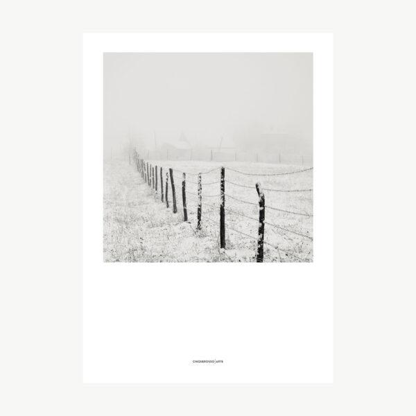 Italian Countryside poster photography black and white