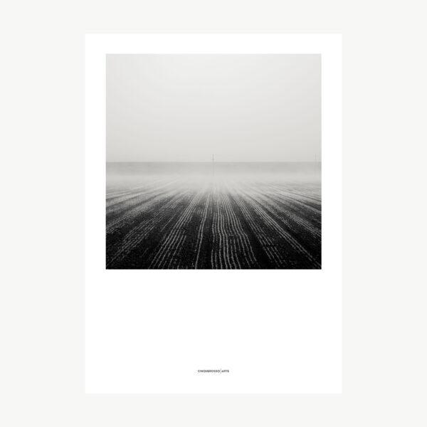 Farmed Field poster photography black and white