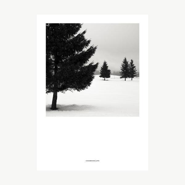poster Four Black Pines photography black and white